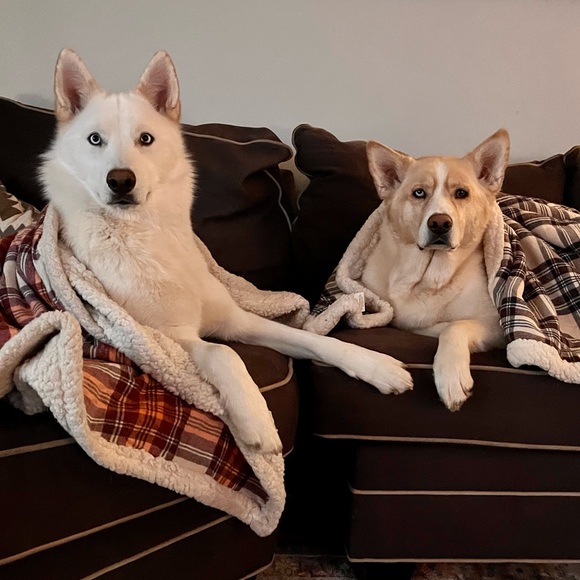 Meet your Seller/Buyer! ❤️ - Picture 2 of 4